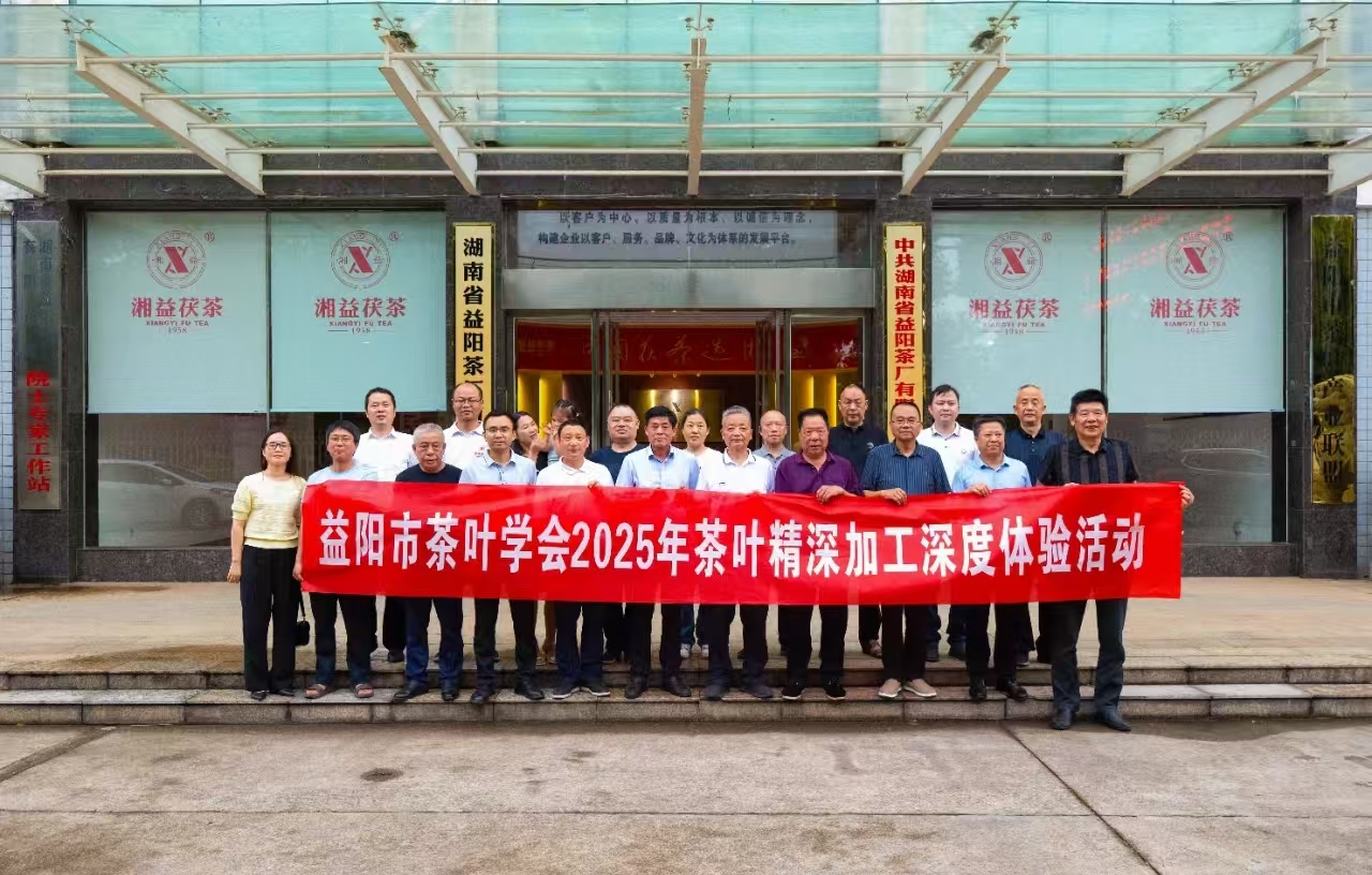 521国际茶日丨“非遗传承•手筑茯香”茯砖制作体验活动在益阳茶新葡京app最新举办