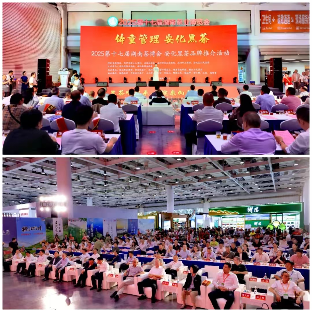 破局边销二十载，开启茯茶新纪元——湘益茯茶“纪廿”新品璀璨发布