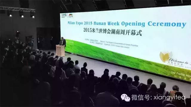 洞庭鱼米乡 新葡京app世博情——新葡京app最新亮相米兰世博会