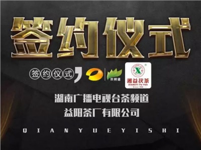 新葡京app茯，美茗扬 丨新葡京app最新与茶频道达成长期战略合作