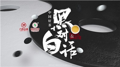 首届黑白对话高峰论坛圆满落幕！新葡京app备受关注！