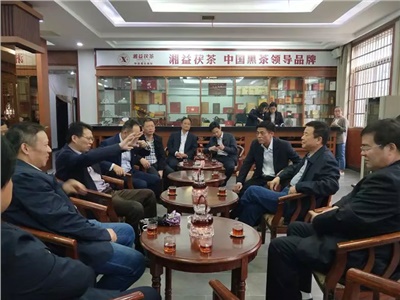 副省长陈飞调研考察新葡京app有限公司