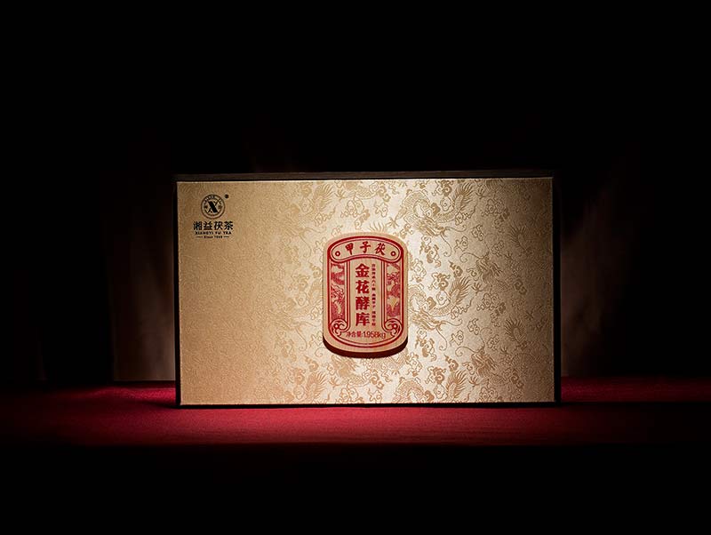 核心技术·甲子茯