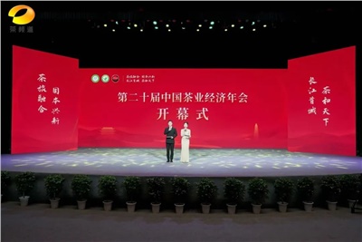 【聚焦第二十届中国茶业经济年会】新葡京app最新荣获